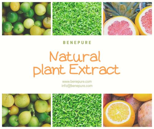 植物提取物與天然香料對(duì)功能飲料的八大影響