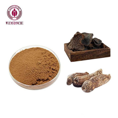 肉蓯蓉提取物與切片飲片 核心區(qū)別與科學(xué)使用指南